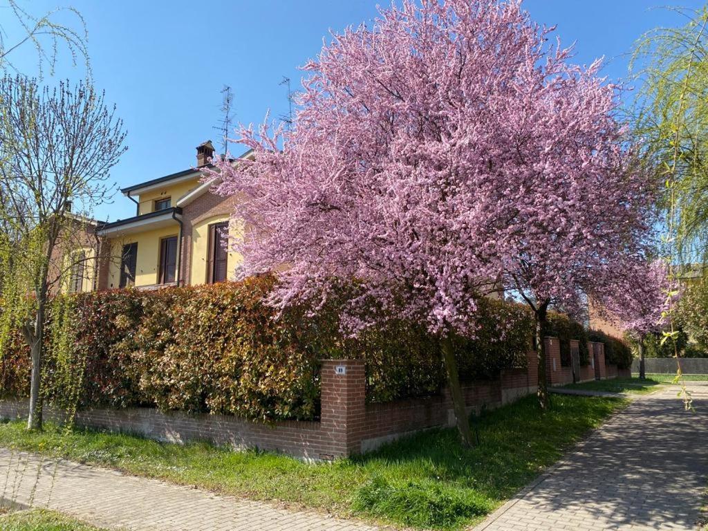Suite Travel Home Modena Exteriör bild